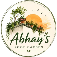 Abhay's Roof Garden